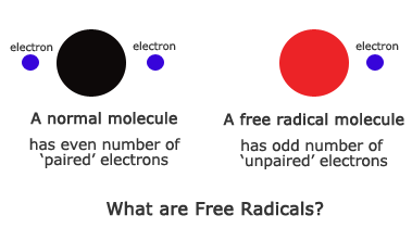 What-are-free-radicals1